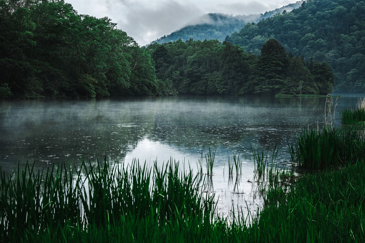 奥日光・湯の湖　2024年６月